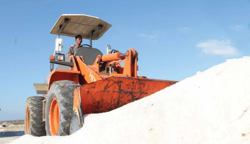 Premium Salt Products